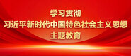 操老B视频学习贯彻习近平新时代中国特色社会主义思想主题教育_fororder_ad-371X160(2)